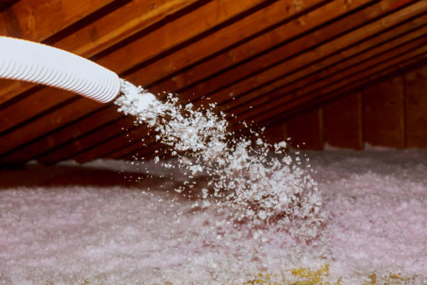 Best Local Insulation Services  in Mulberry, AR
