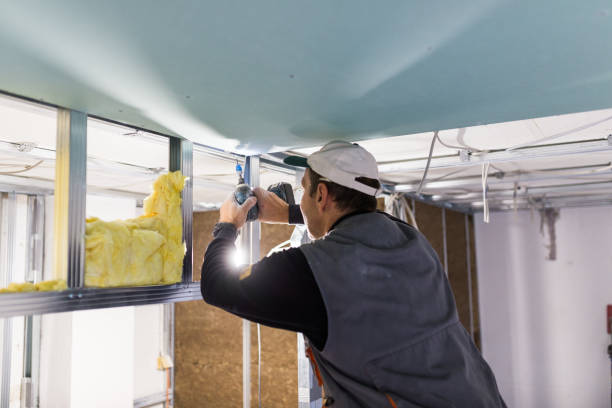 Best Insulation Contractors for Homes  in Mulberry, AR