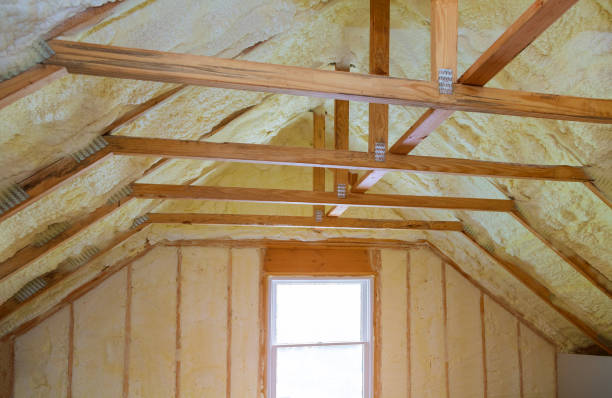 Best Professional Insulation Contractor  in Mulberry, AR