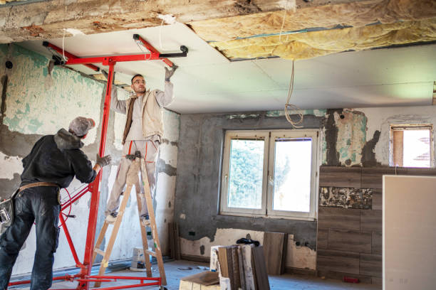 Best Best Insulation Companies  in Mulberry, AR