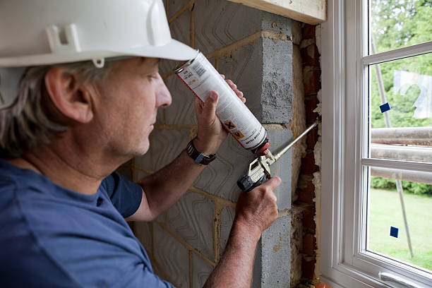 Best Professional Insulation Contractor  in Mulberry, AR