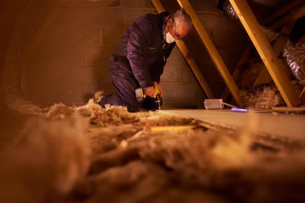 Best Attic Insulation Installation  in Mulberry, AR
